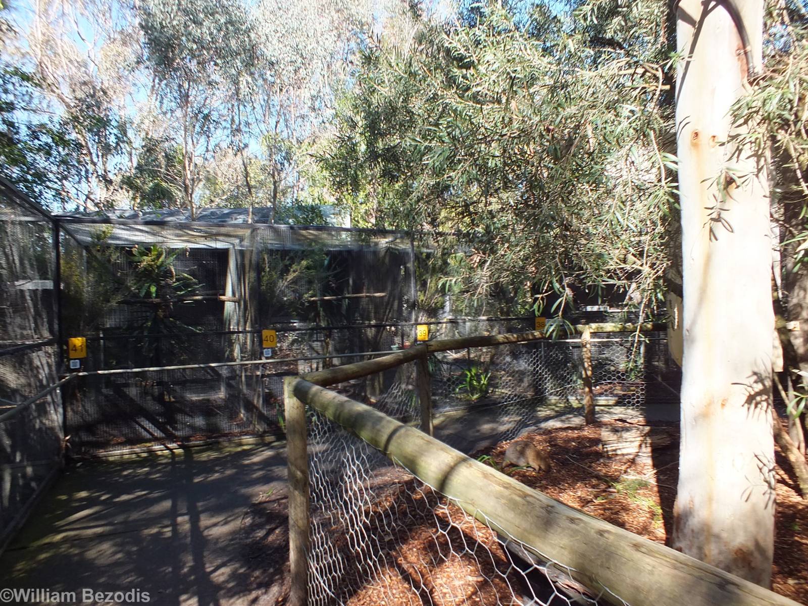 Parrot Aviaries and Quokka Enclosure