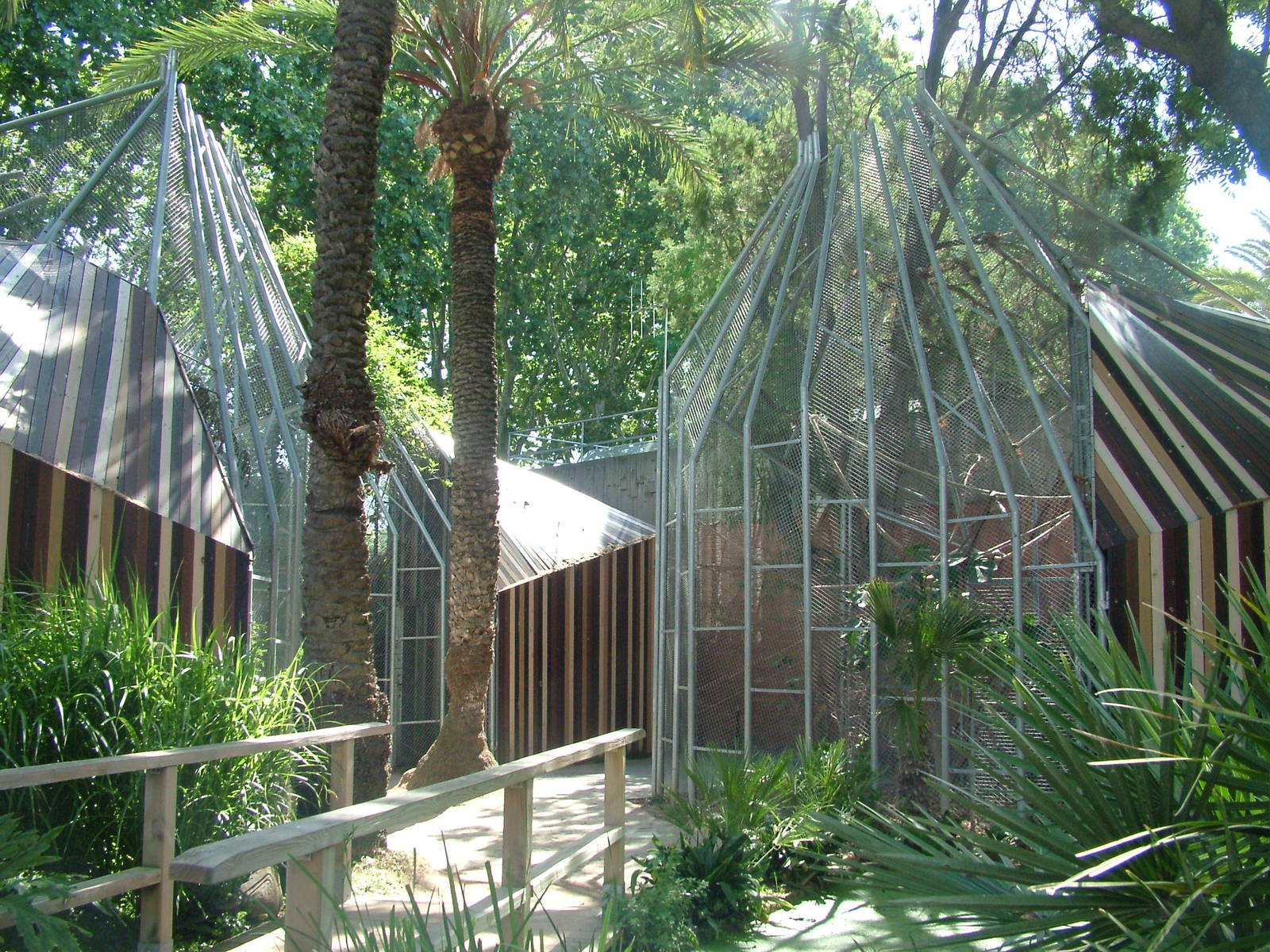 Parrot Aviaries at Barcelona, 30/05/11