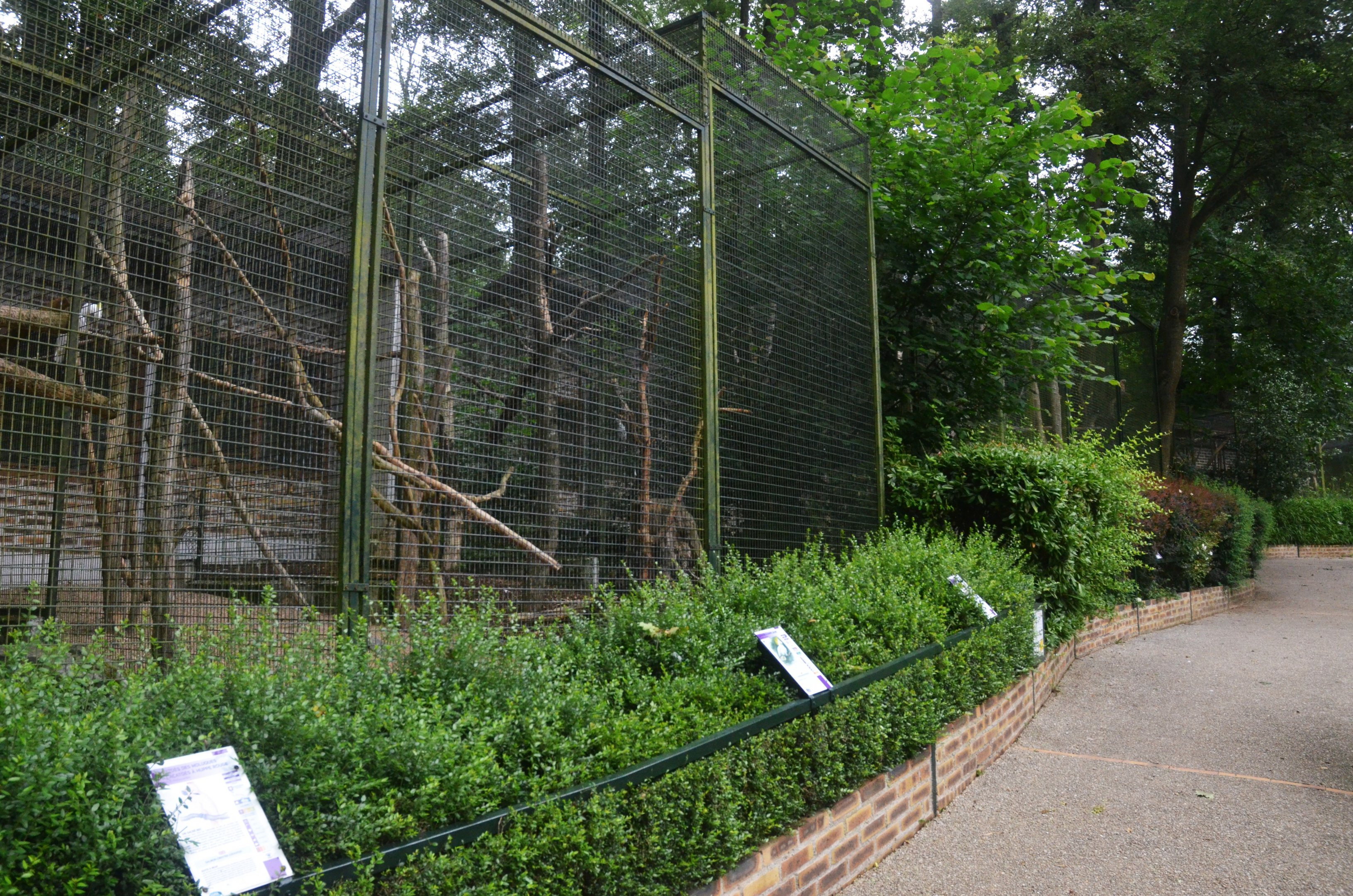 Parrot Aviaries at Beauval, 12/06/18