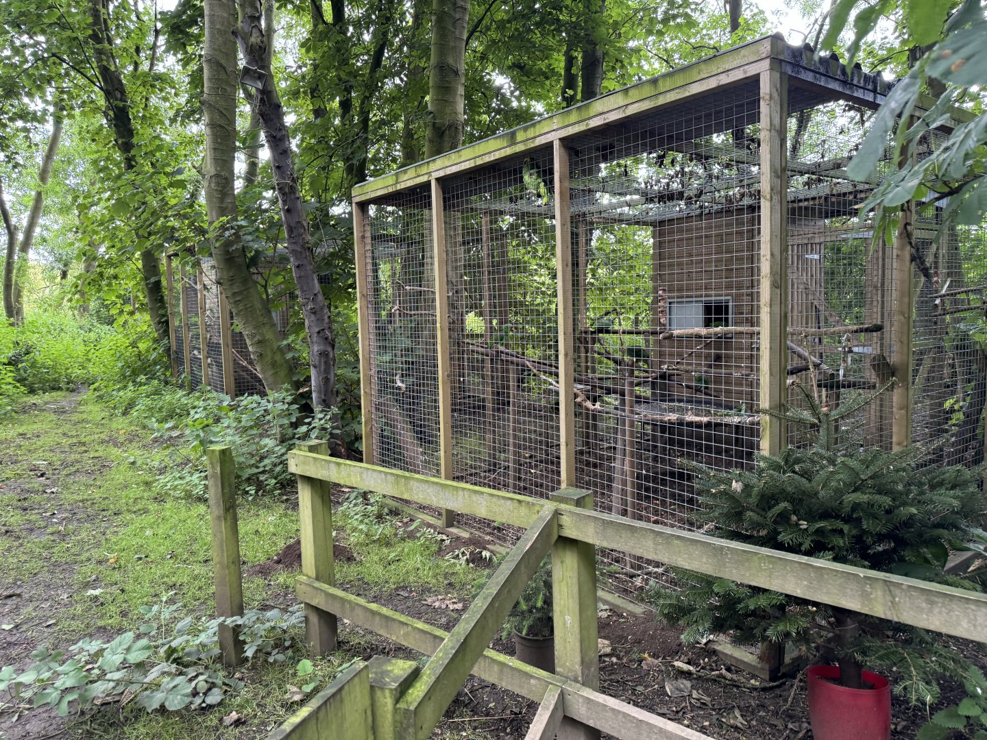 Parrot Aviaries at Bridlington Animal Park (July 2024)