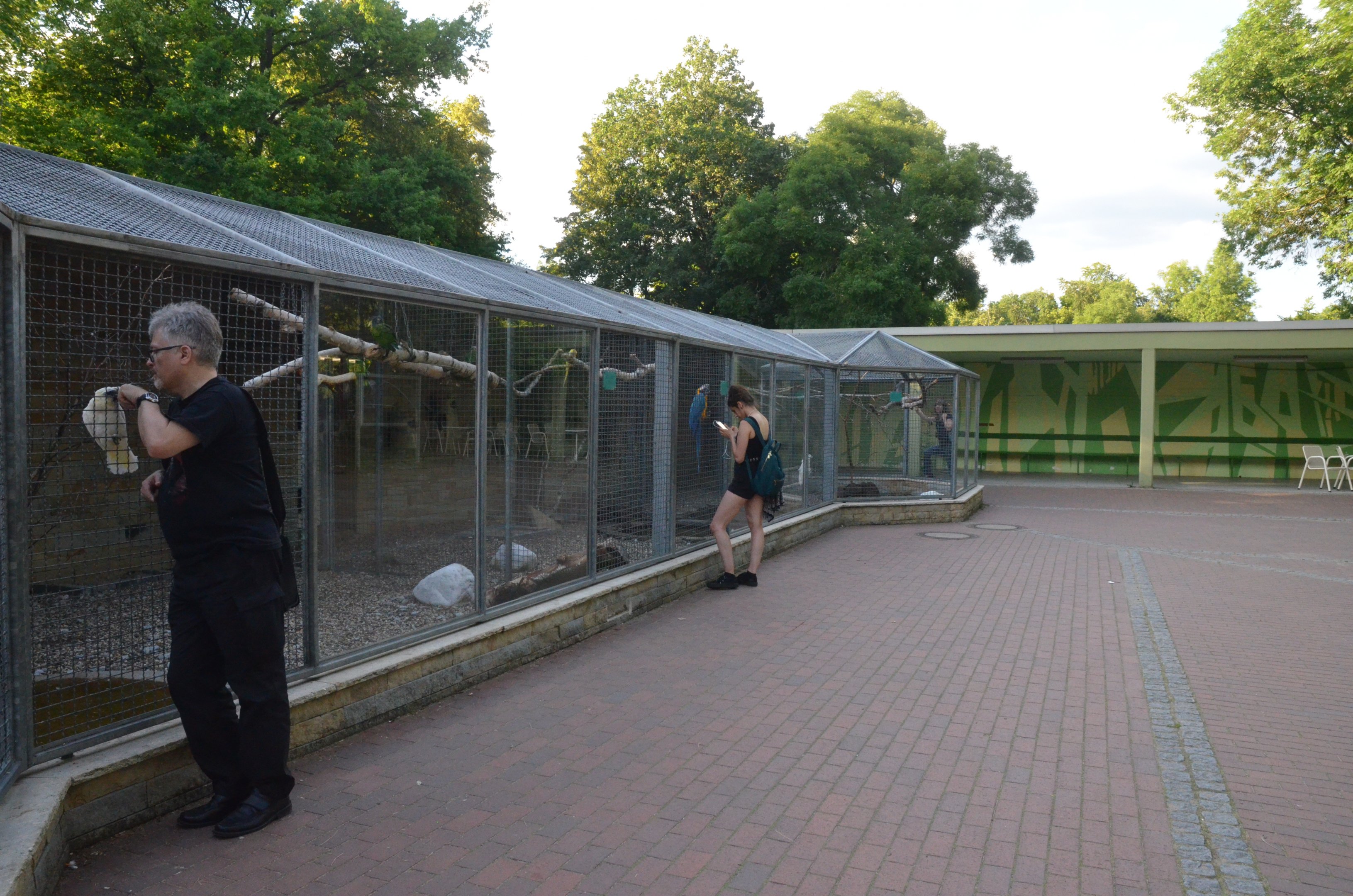 Parrot Aviaries at Grugapark, 17/06/19