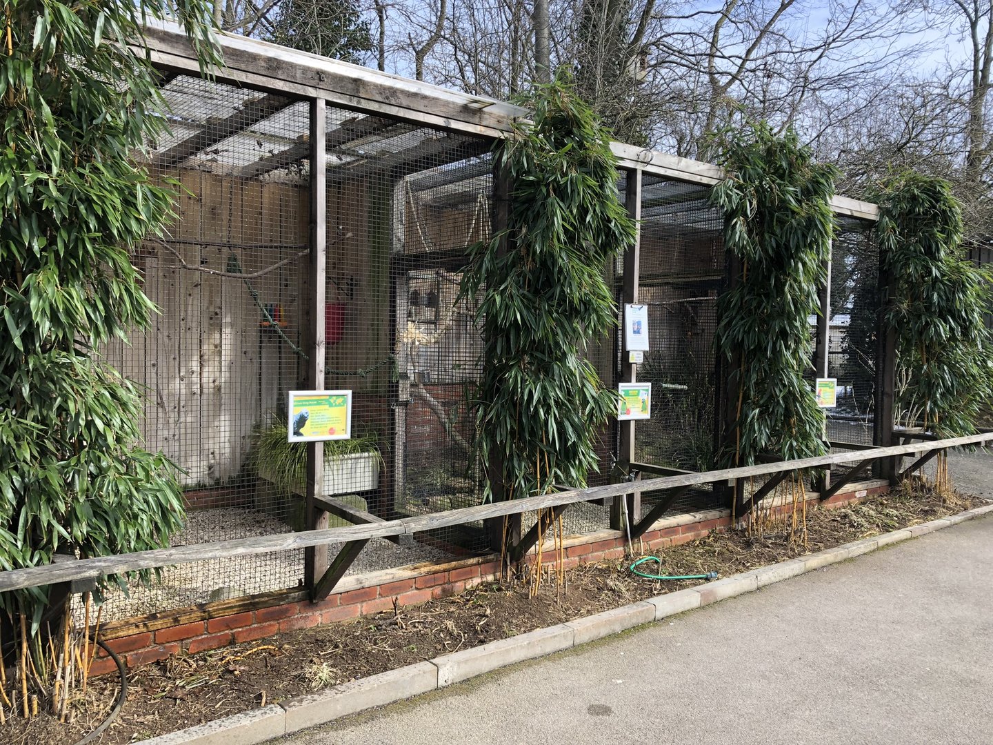 Parrot Aviaries at Tropical Butterfly House (March 2023)