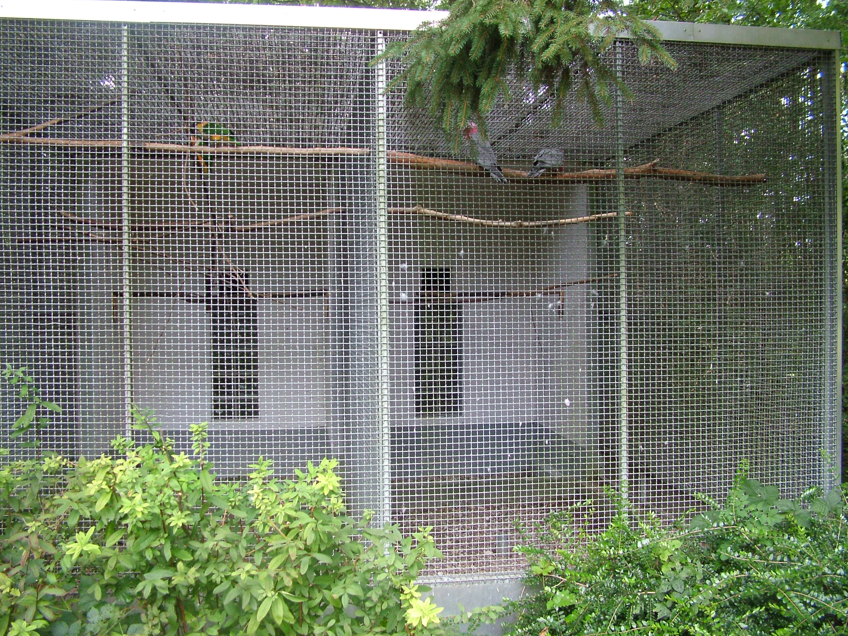Parrot Aviaries at Vogelpark Erlenwald, 3rd Sept 2010