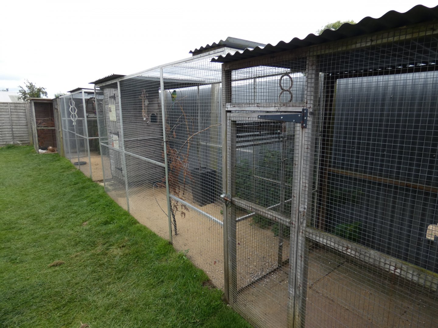 Parrot aviaries (Camel Park Oasis)
