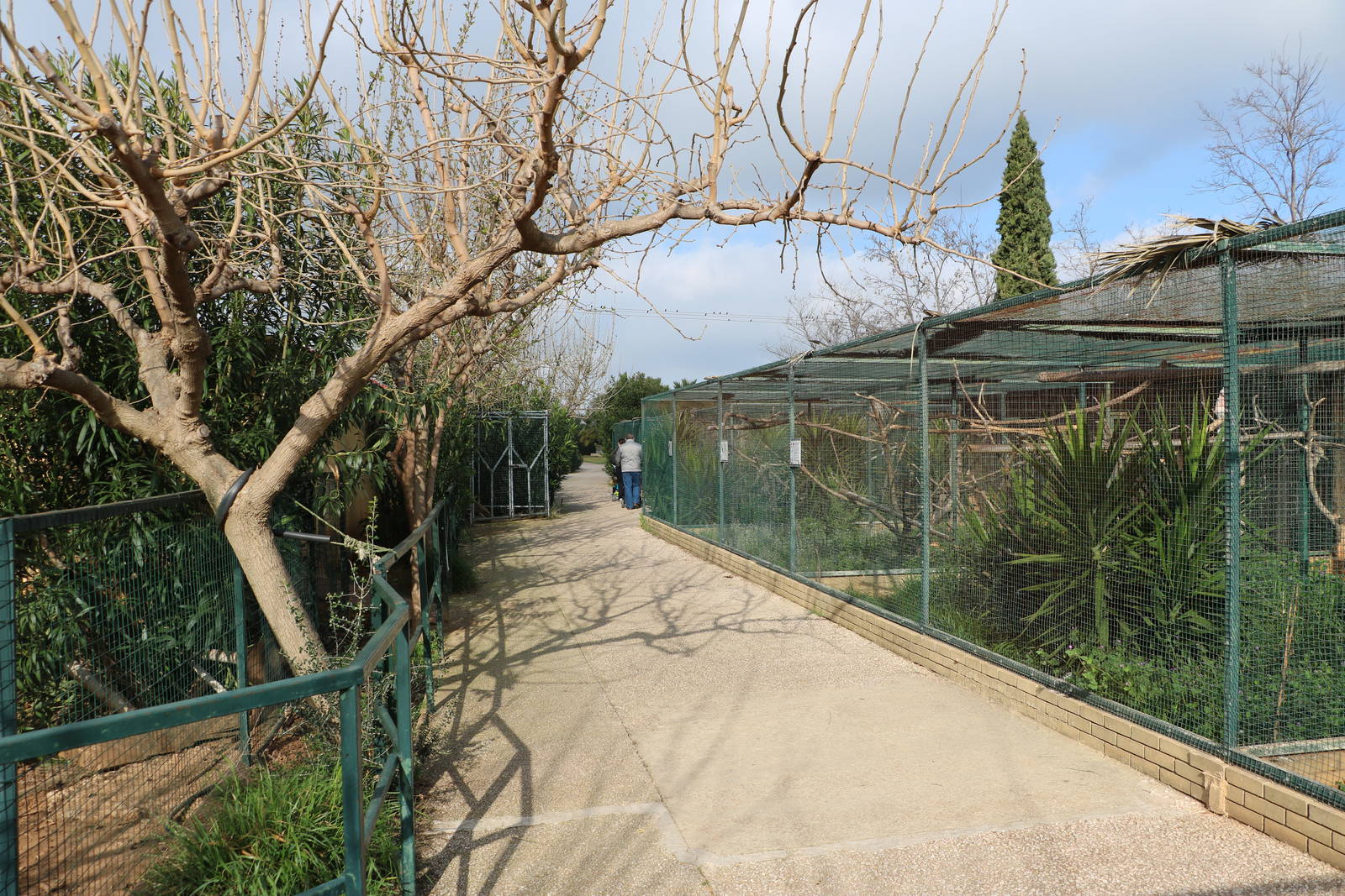 Parrot aviaries, February 2016