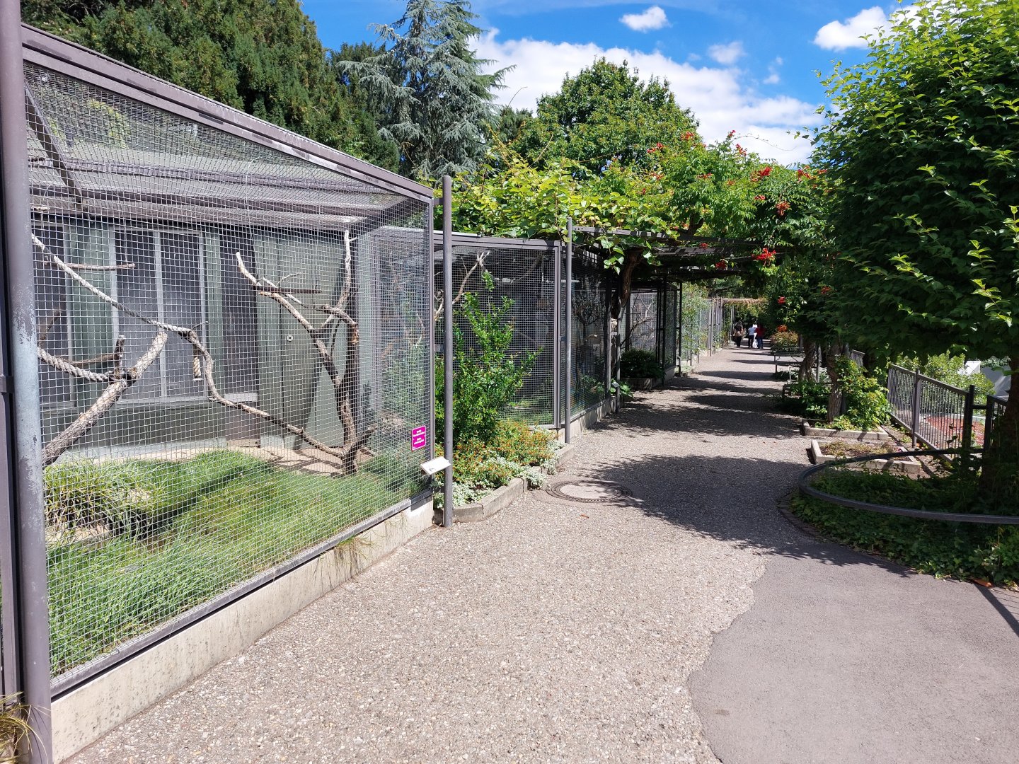 Parrot aviaries on subtropenterrasse