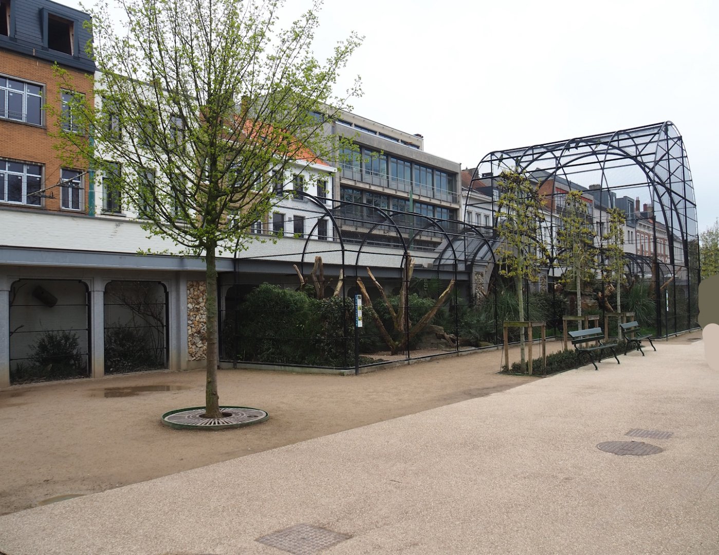 Parrot aviaries (Reconstruction of 1850's raptor aviaries), 2023-04-08