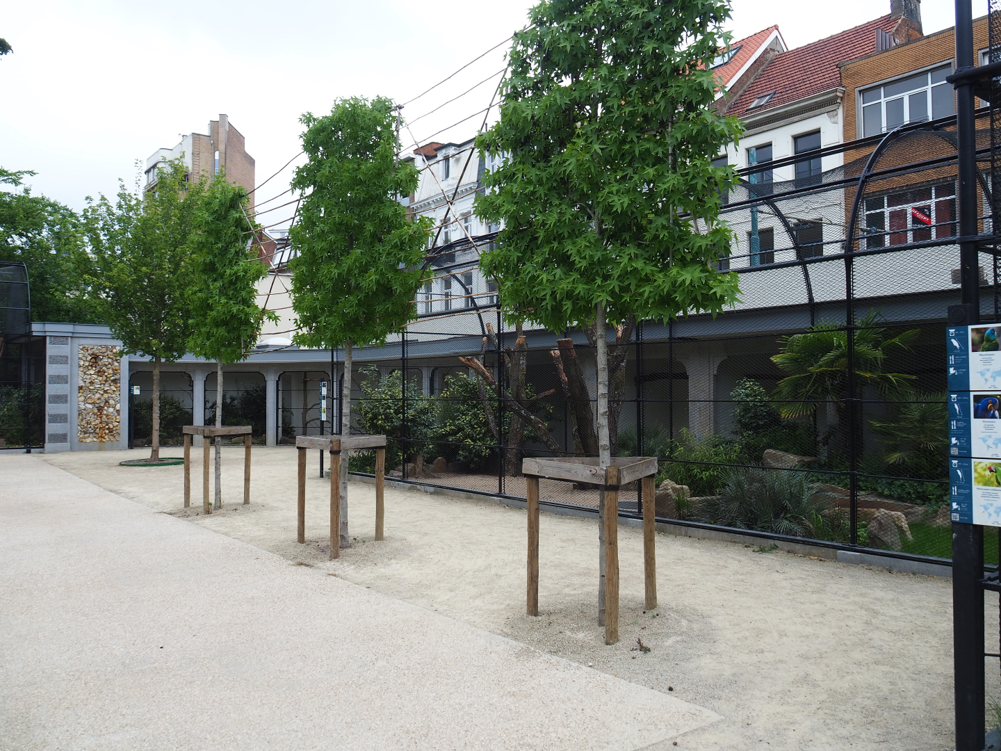 Parrot aviaries viewing area, 2020-05-24