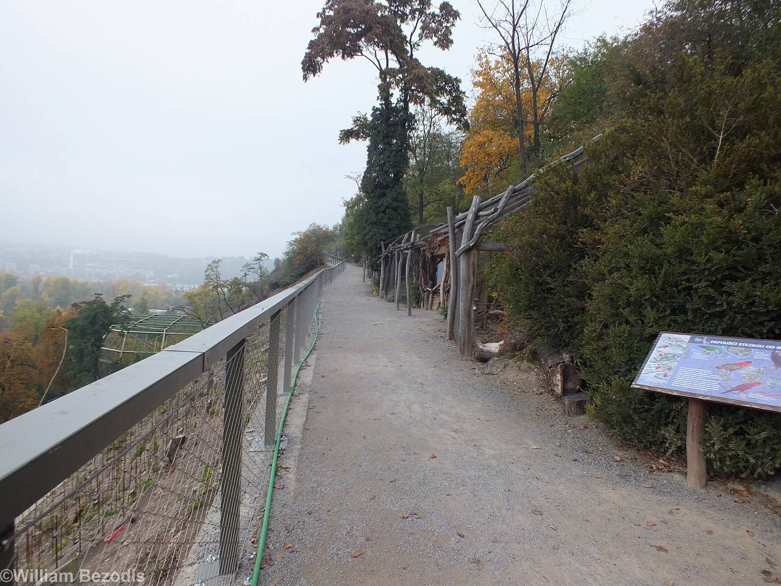 Parrot Aviaries with a View