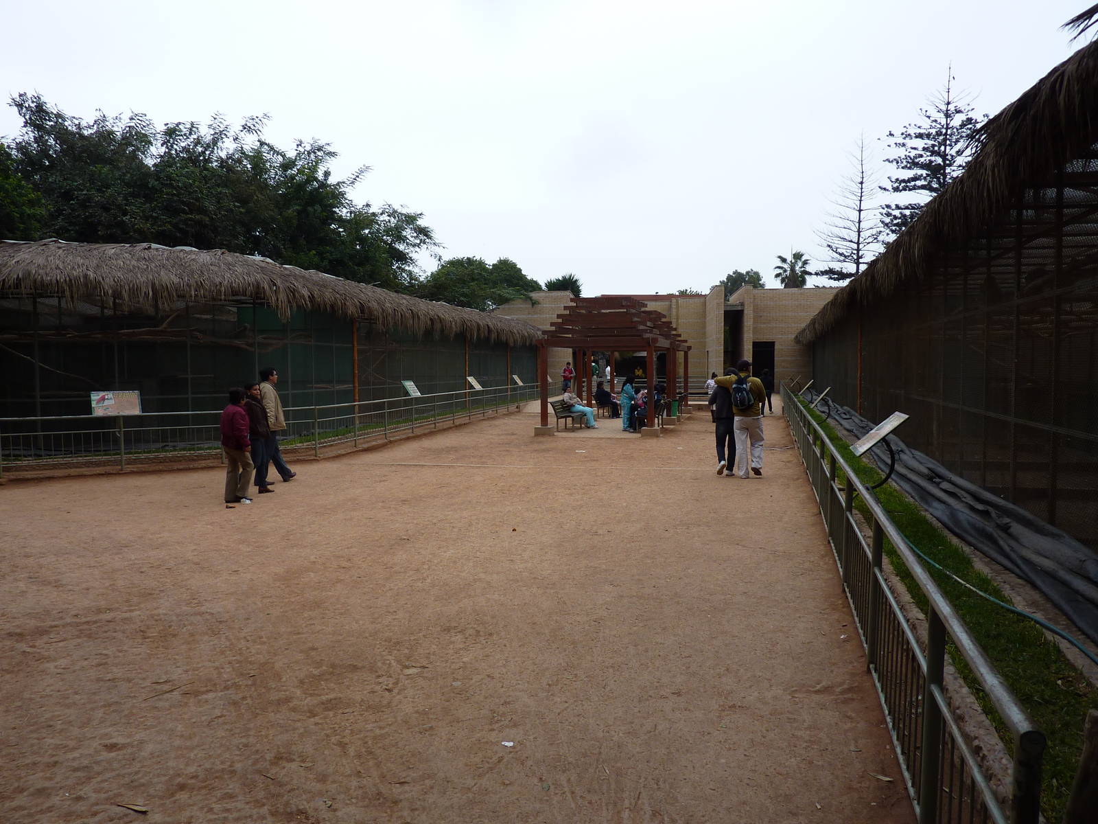 Parrot aviaries