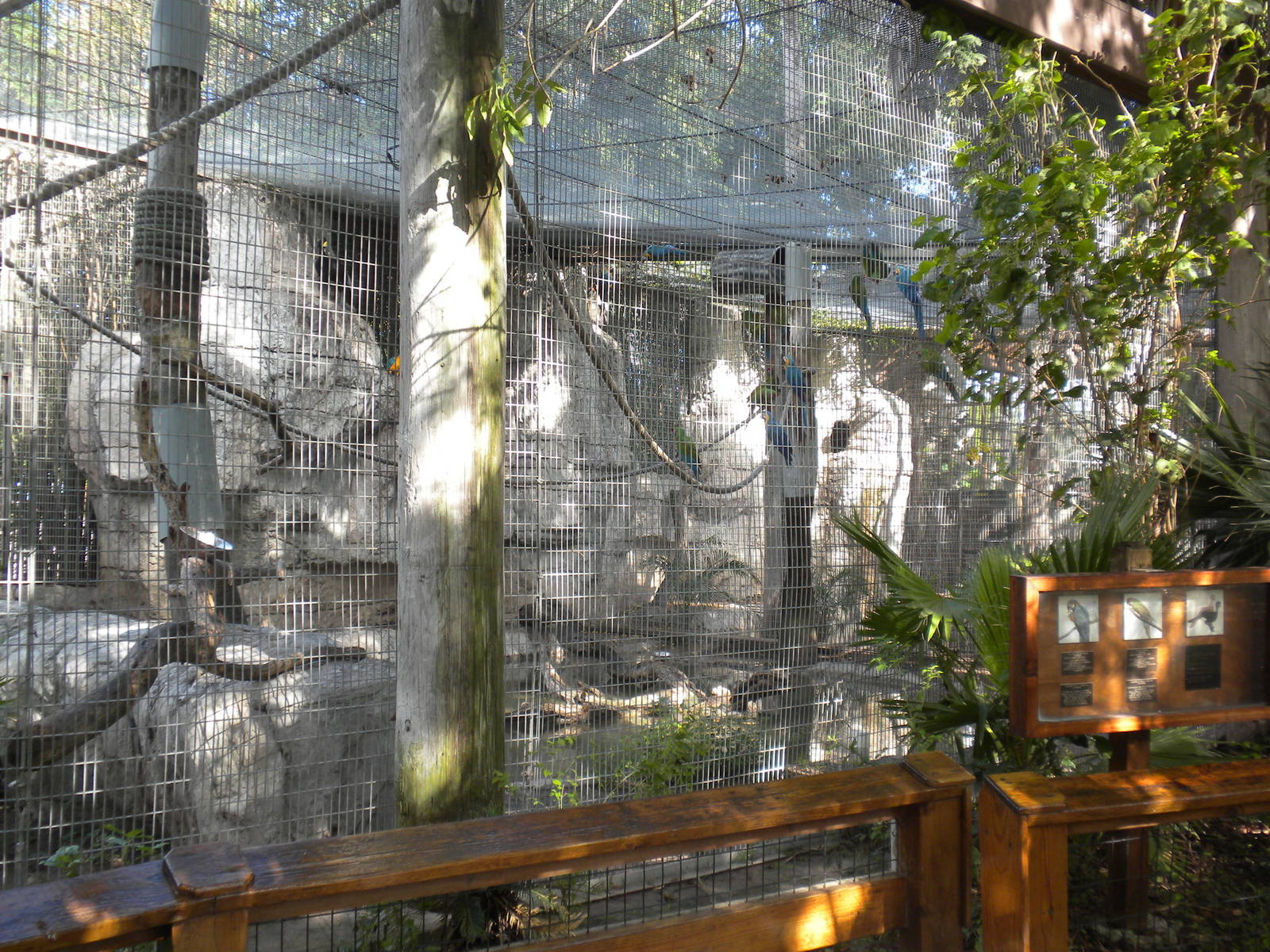 Parrot Aviaries
