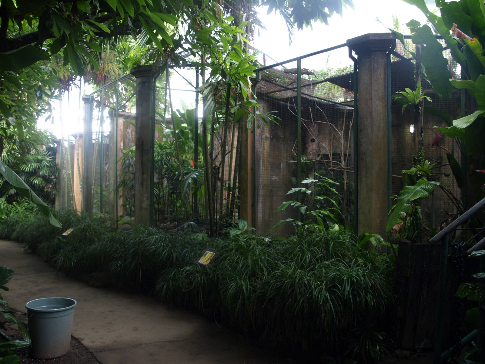 Parrot aviaries