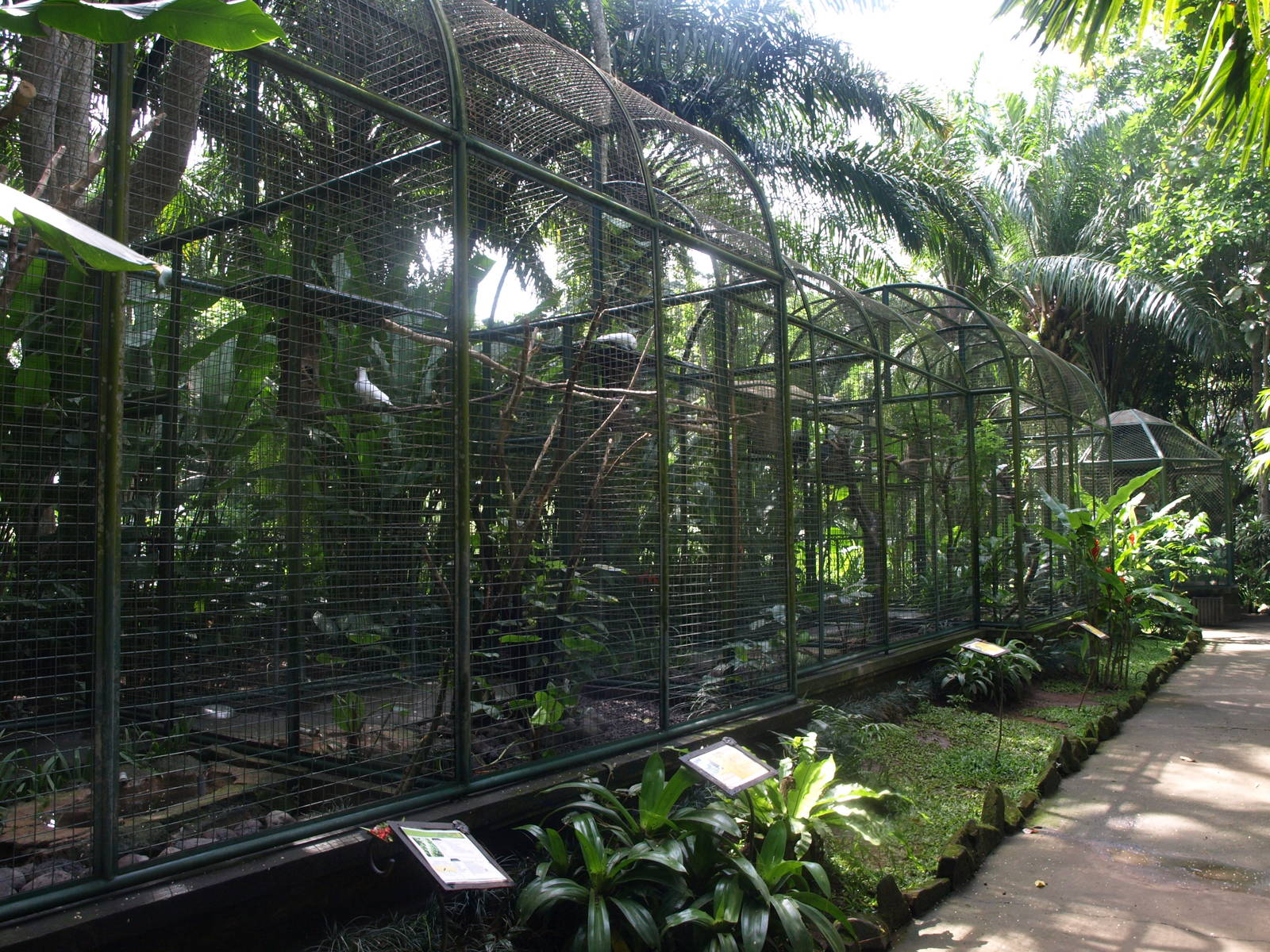 Parrot aviaries