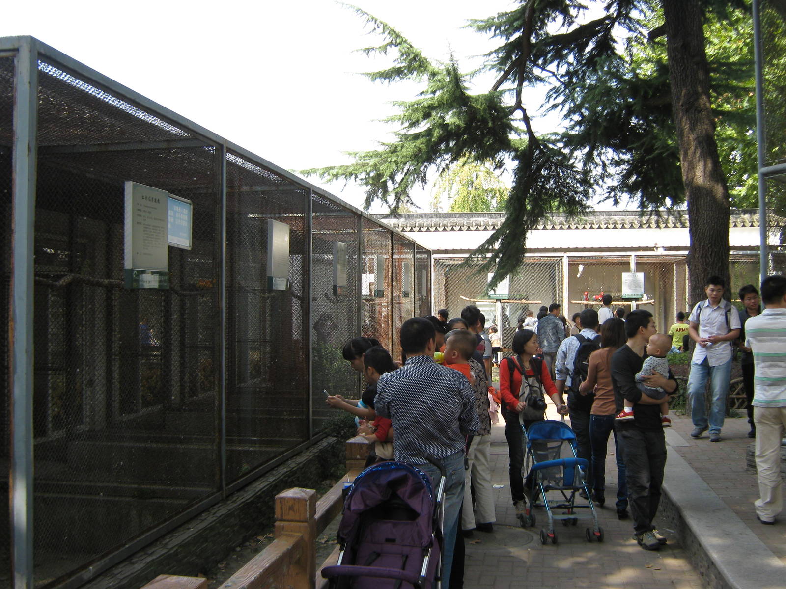 parrot aviaries