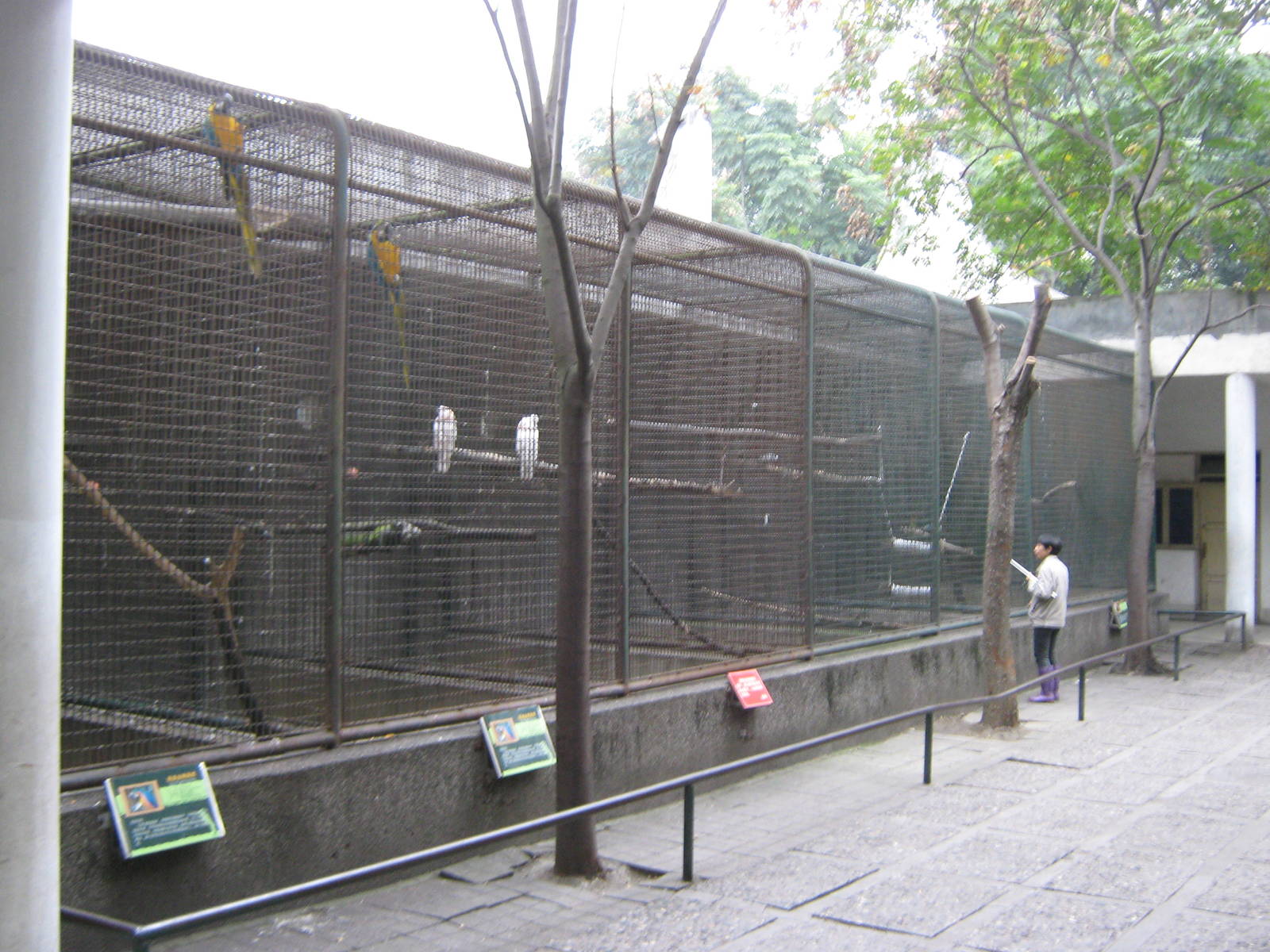 parrot aviaries
