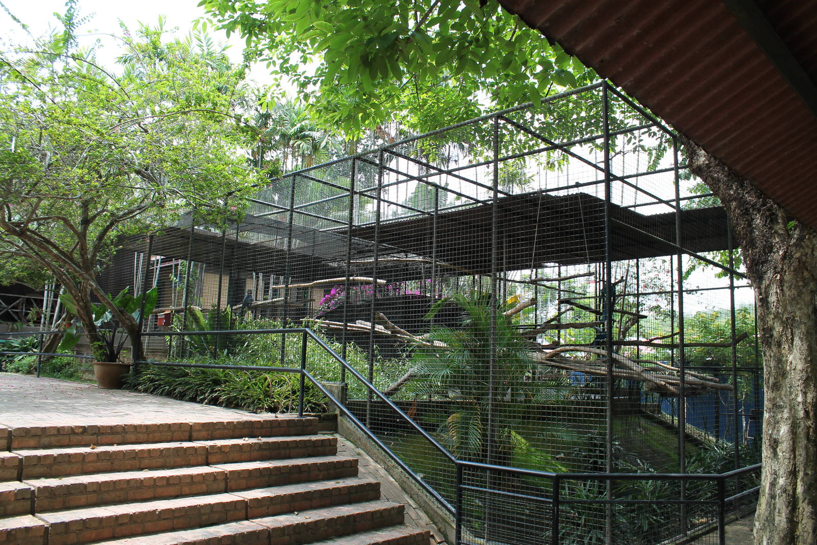 parrot aviaries