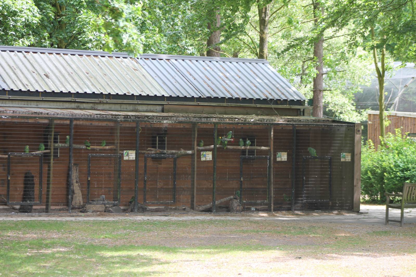 Parrot aviaries