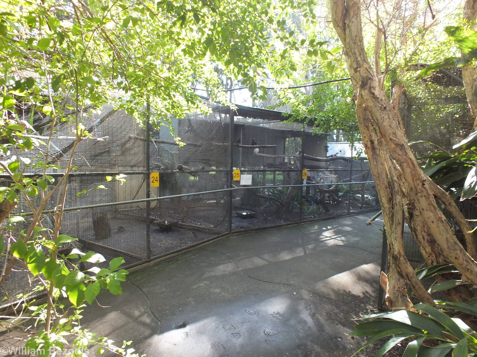 Parrot Aviaries