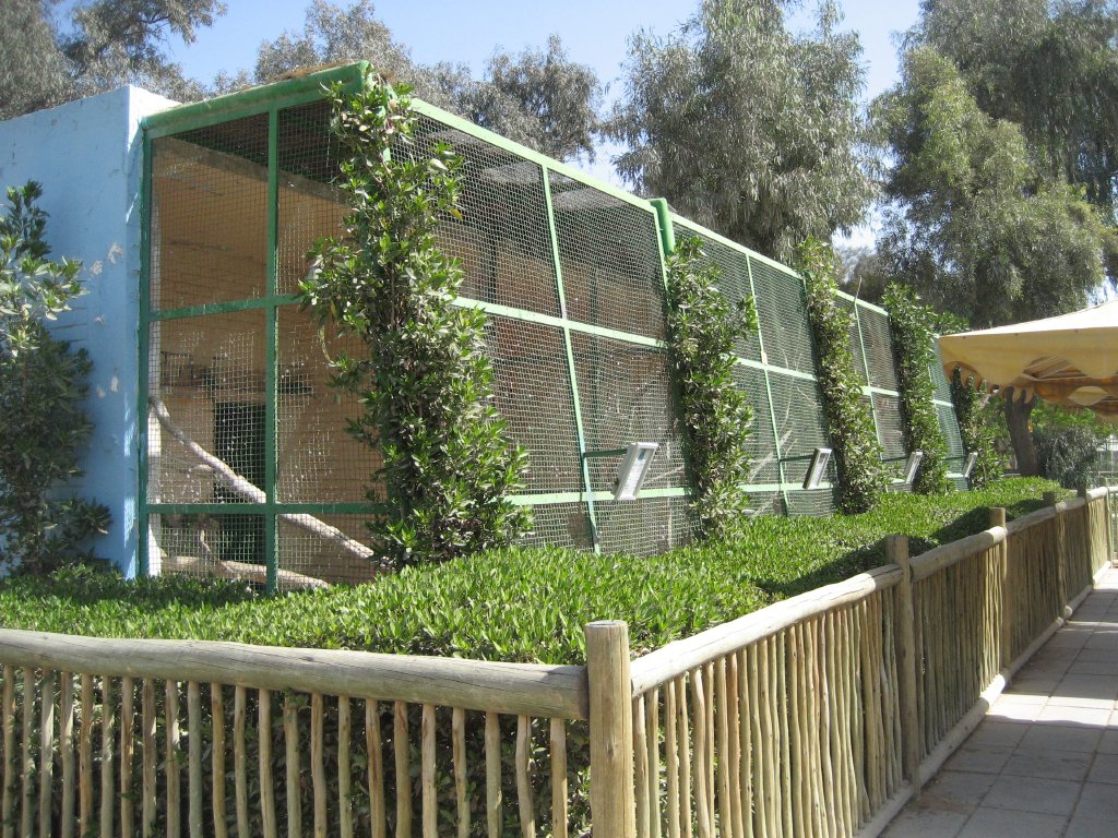 Parrot Aviaries
