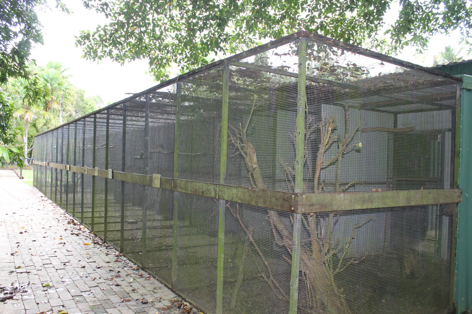 Parrot aviaries
