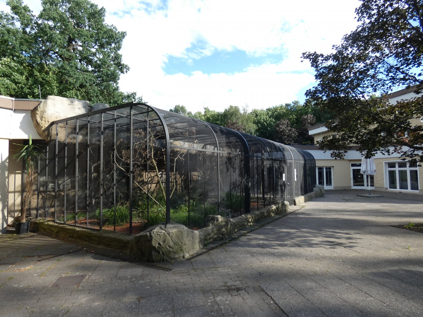 Parrot Aviaries