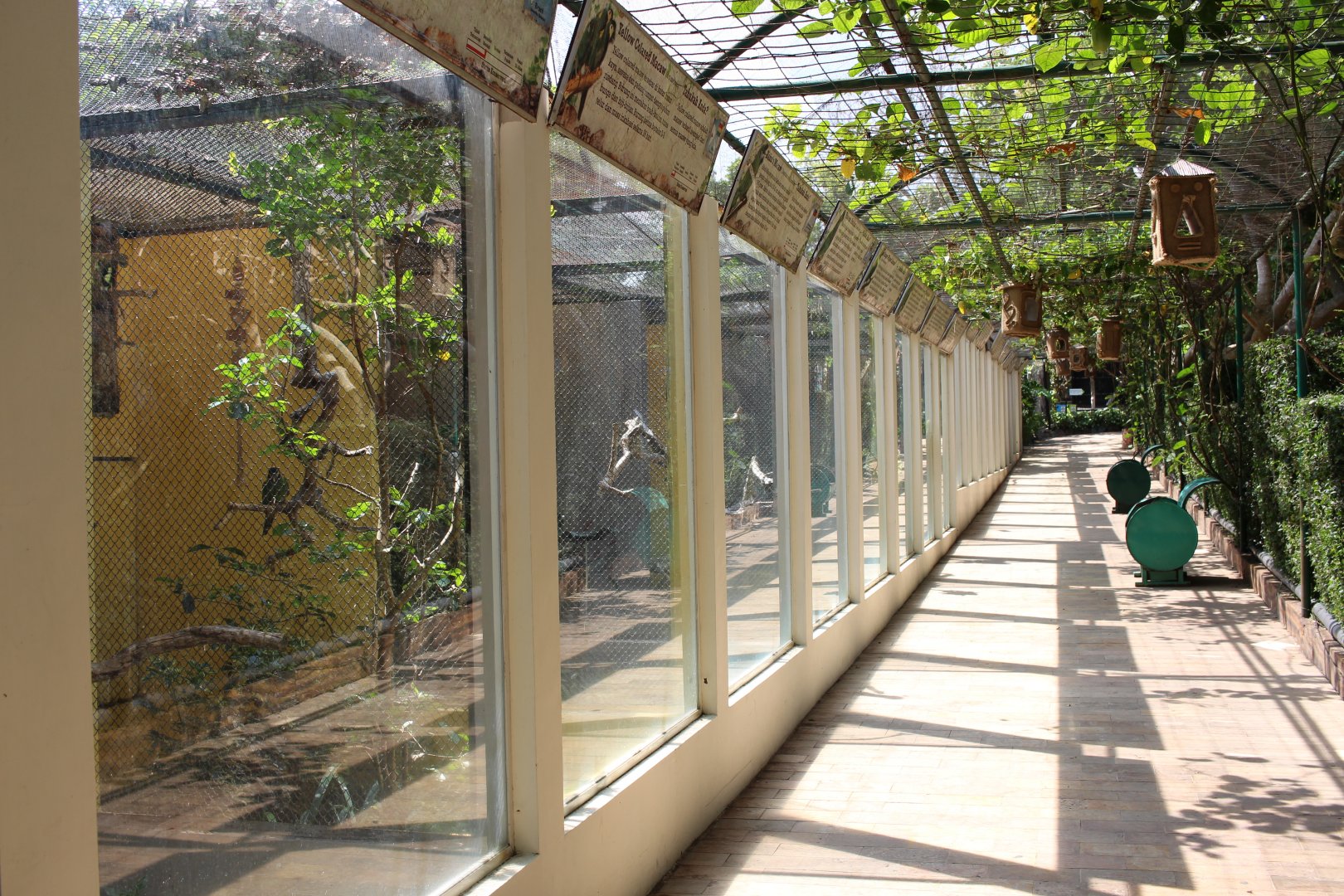 Parrot Aviaries