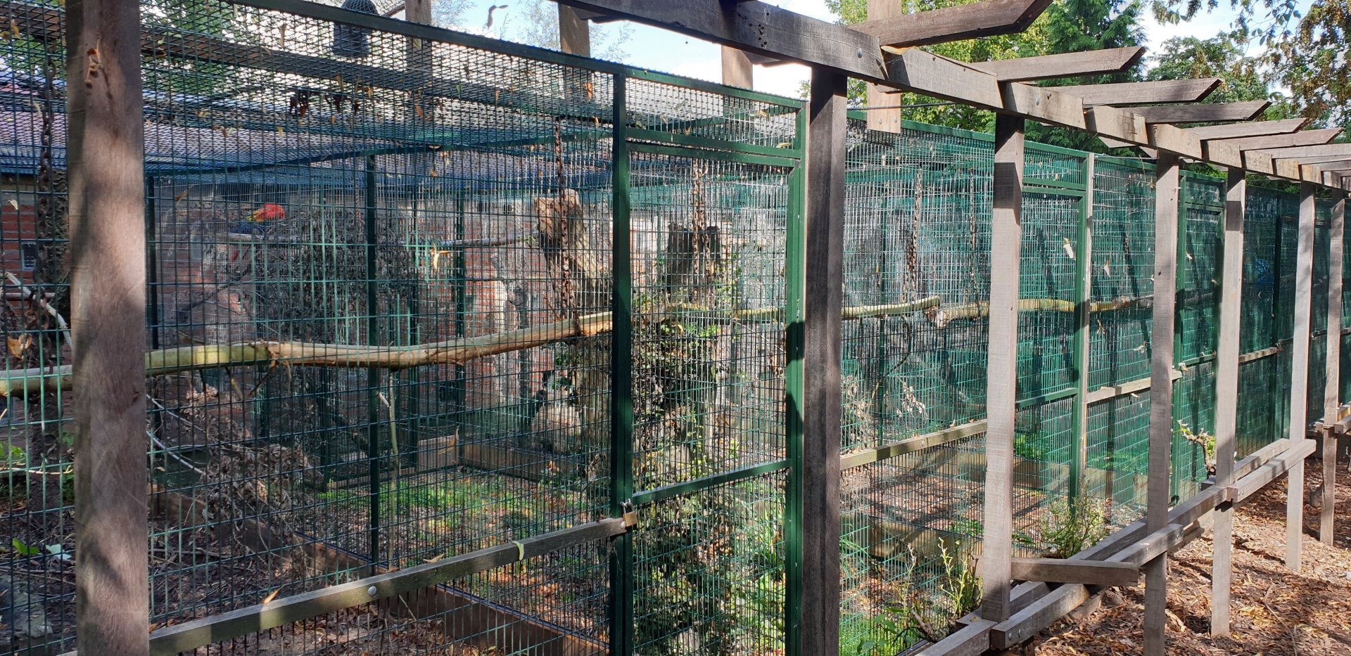 Parrot aviaries
