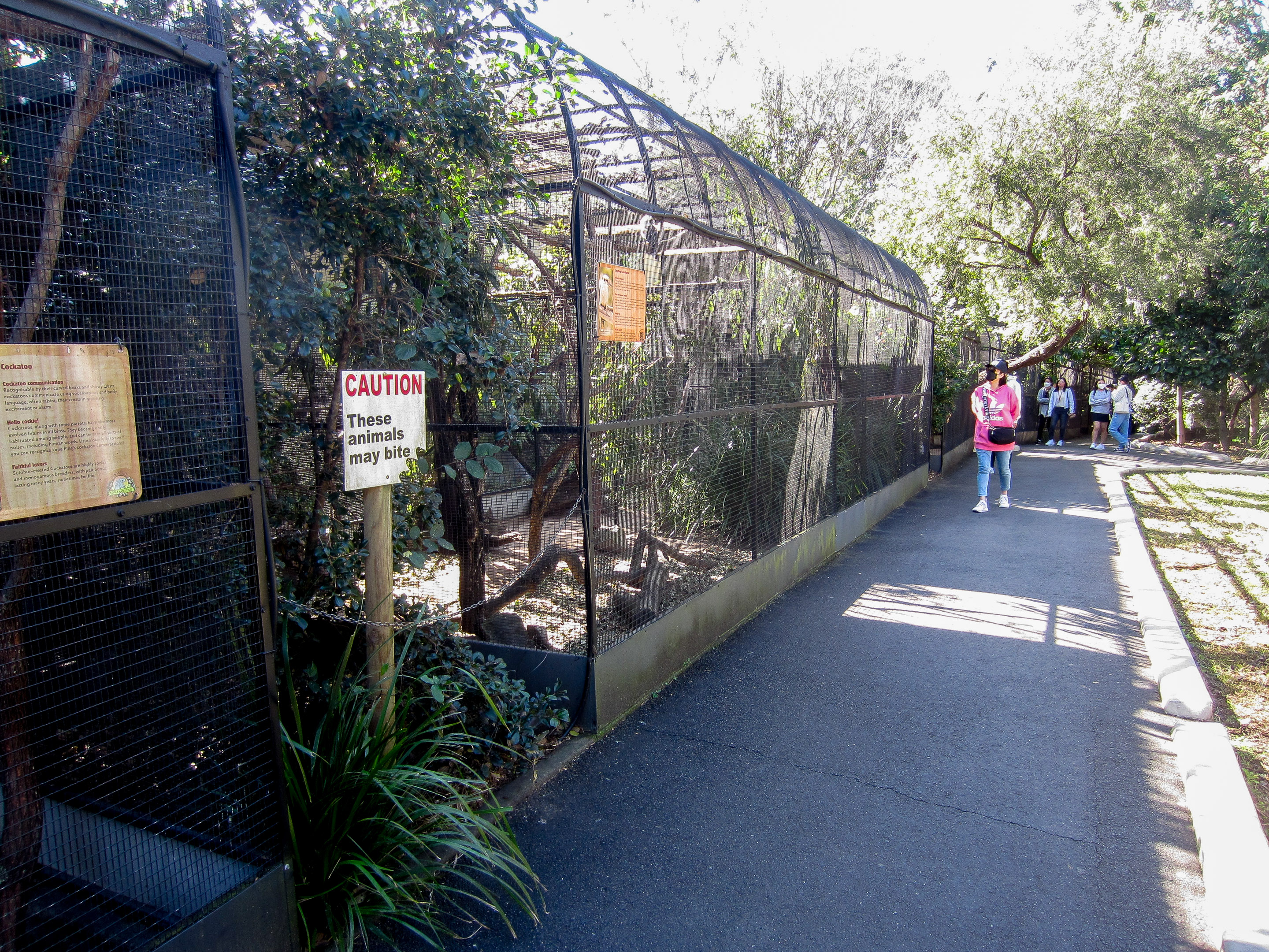 Parrot Aviaries