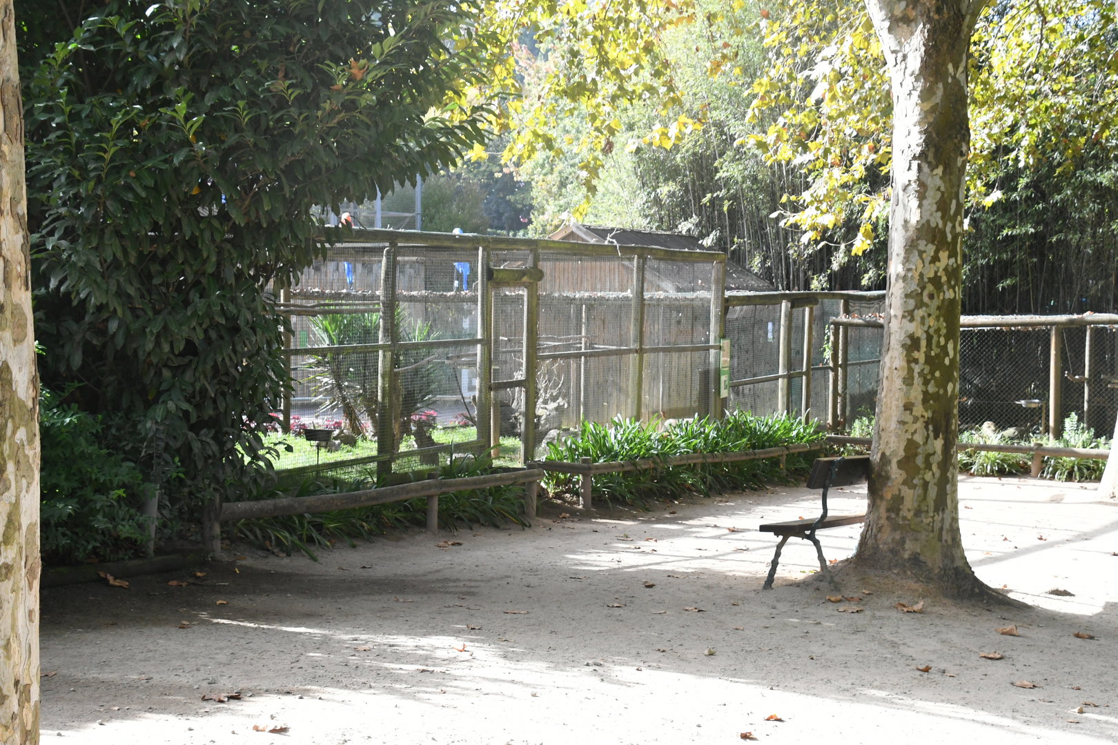 Parrot Aviaries
