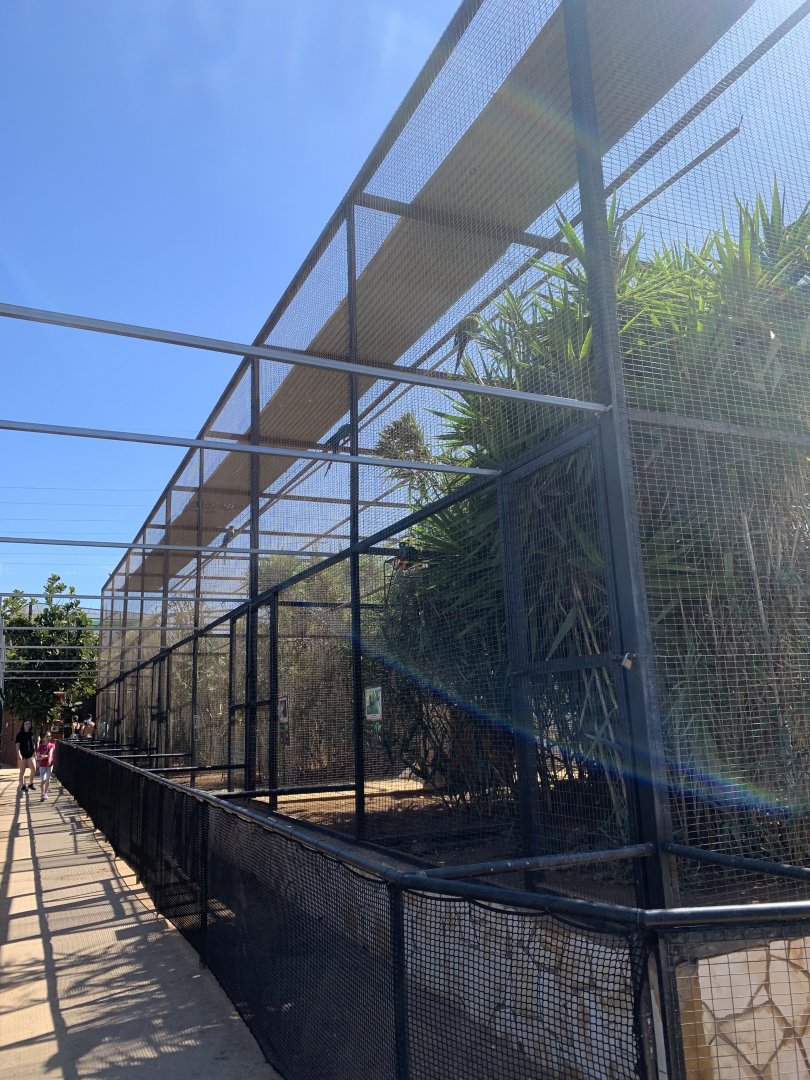 Parrot Aviaries