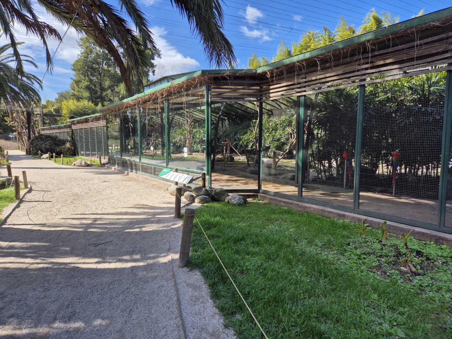 Parrot Aviaries