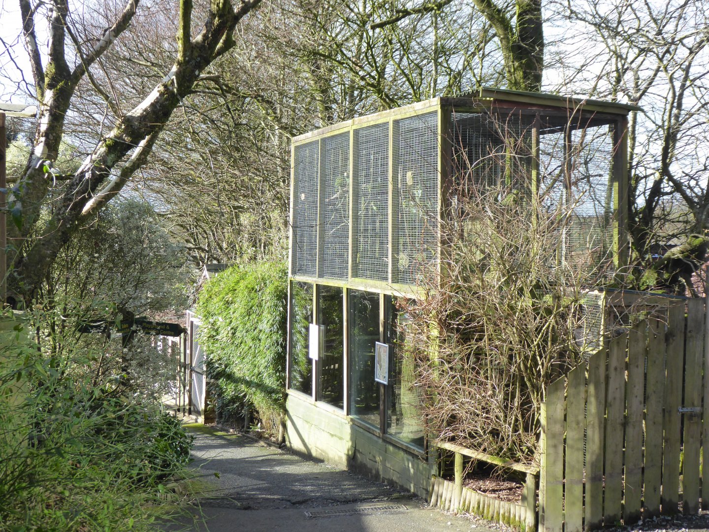 Parrot aviary 040319