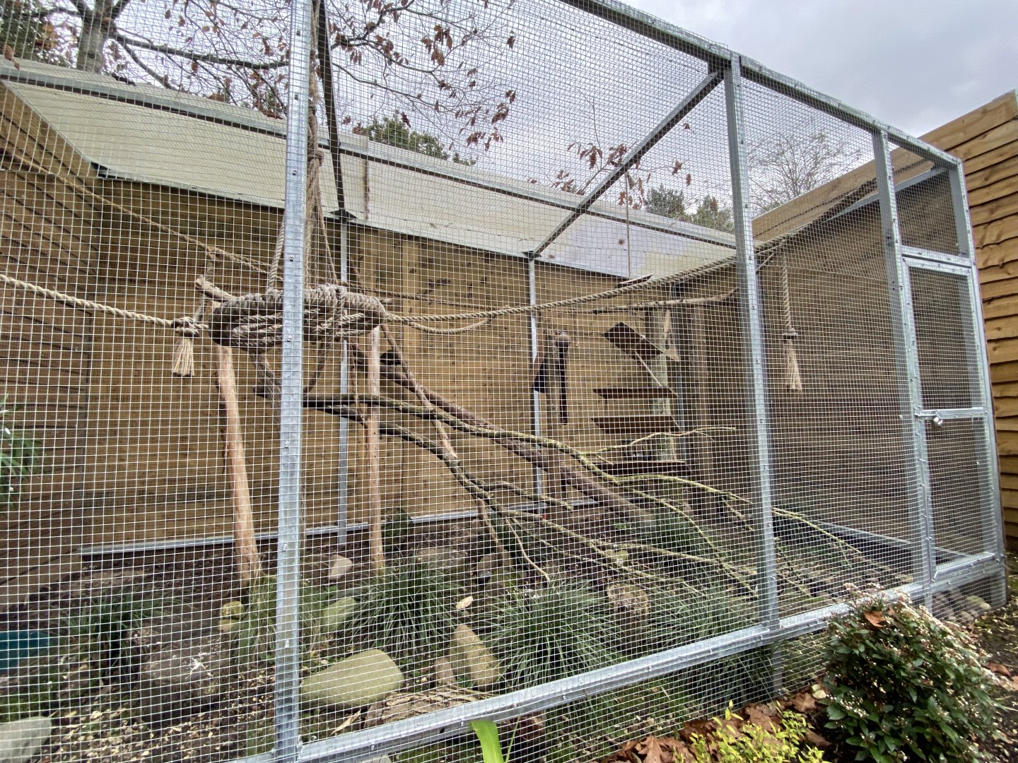 Parrot aviary 061121