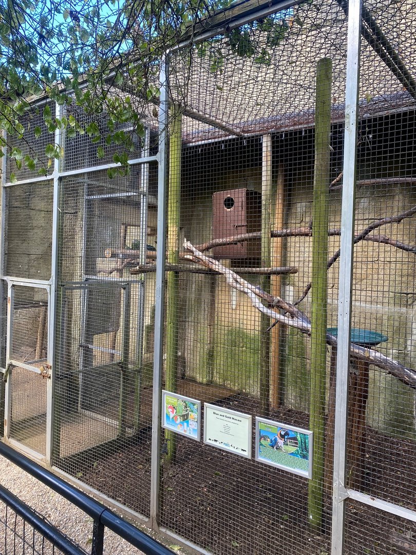 Parrot Aviary 140923