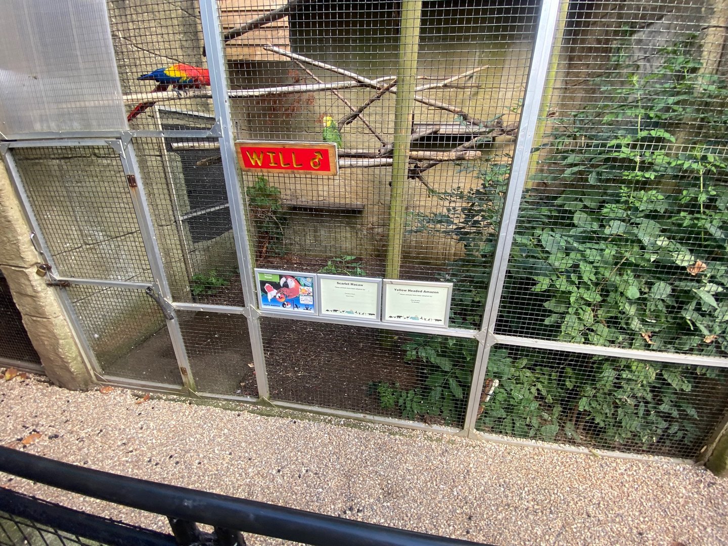 Parrot Aviary 140923