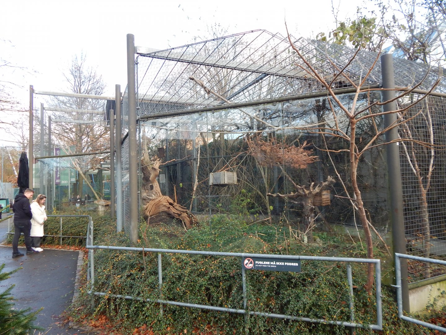 Parrot aviary 261124