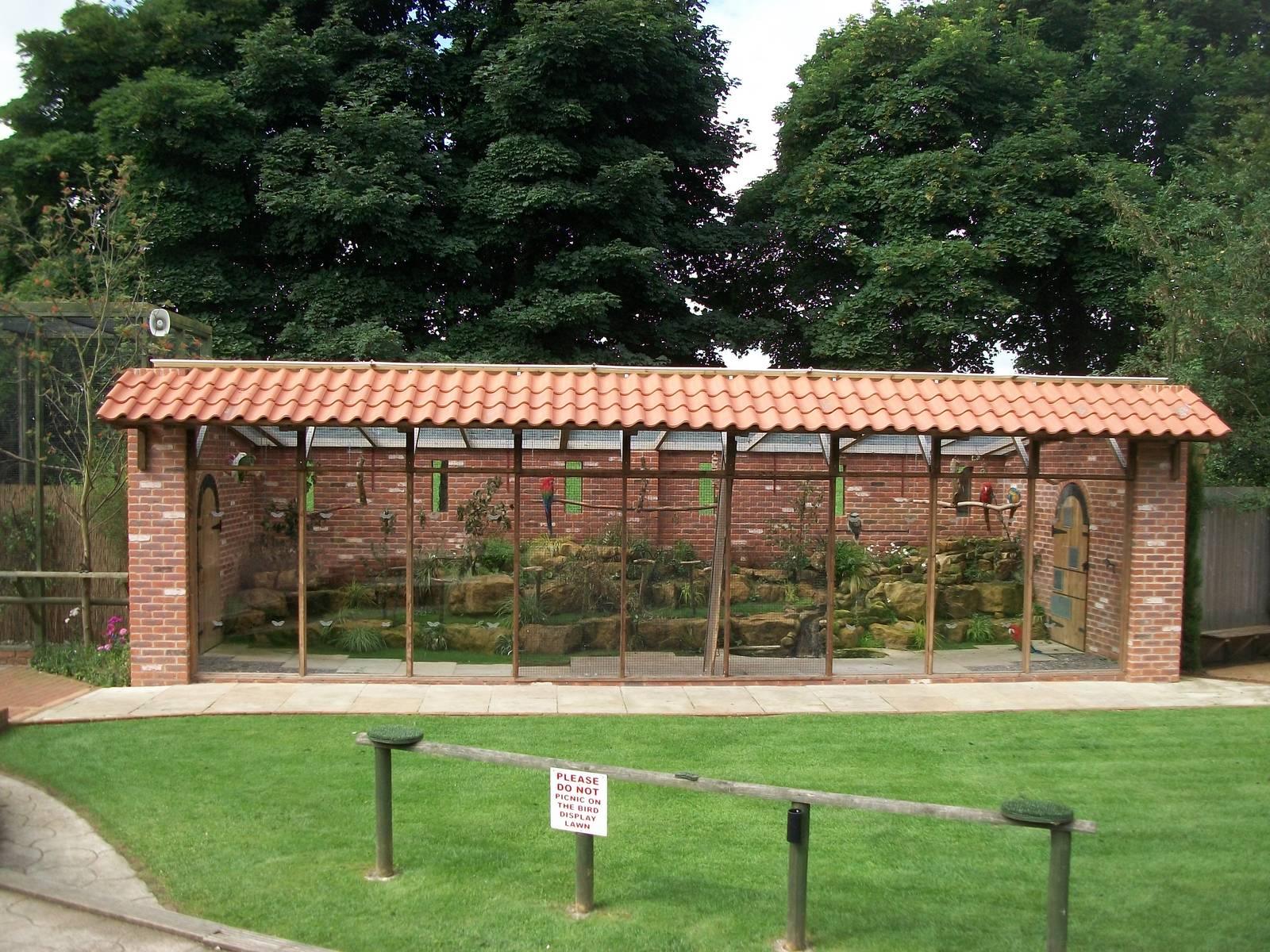 Parrot aviary, 3rd August 2012