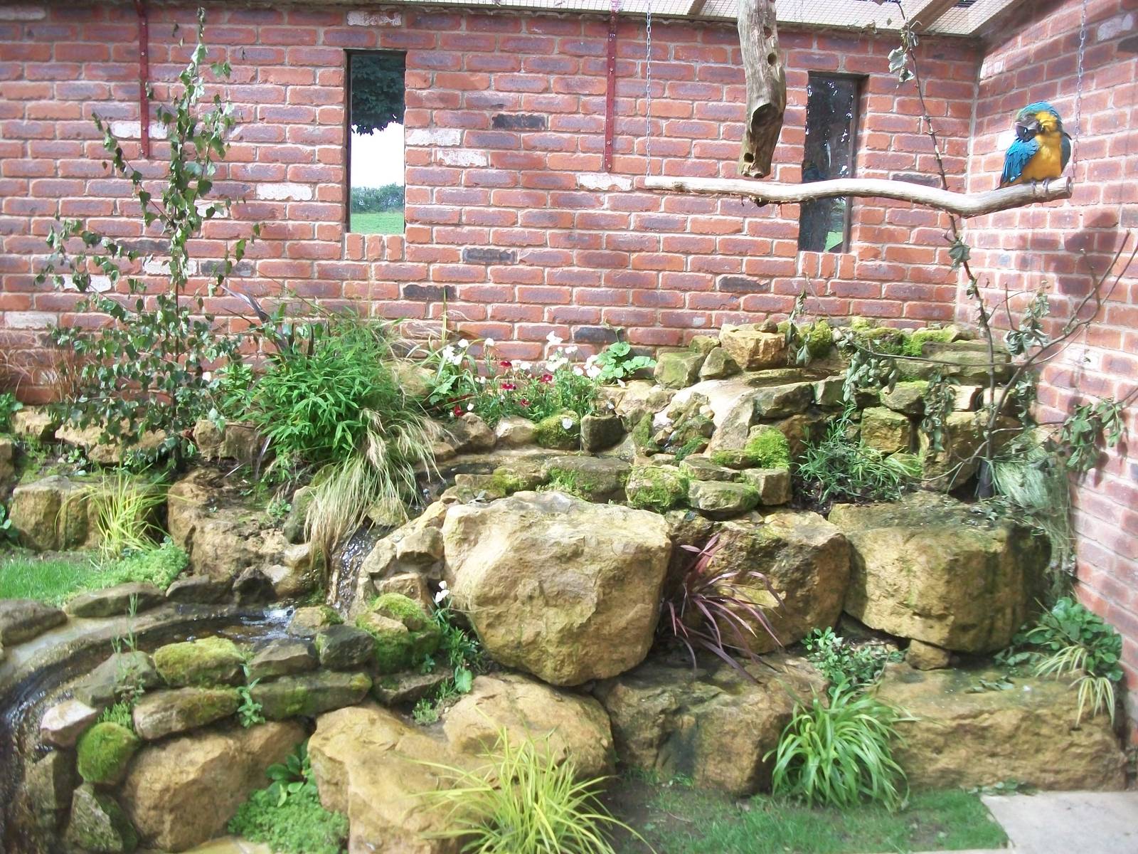 Parrot aviary, 3rd August 2012