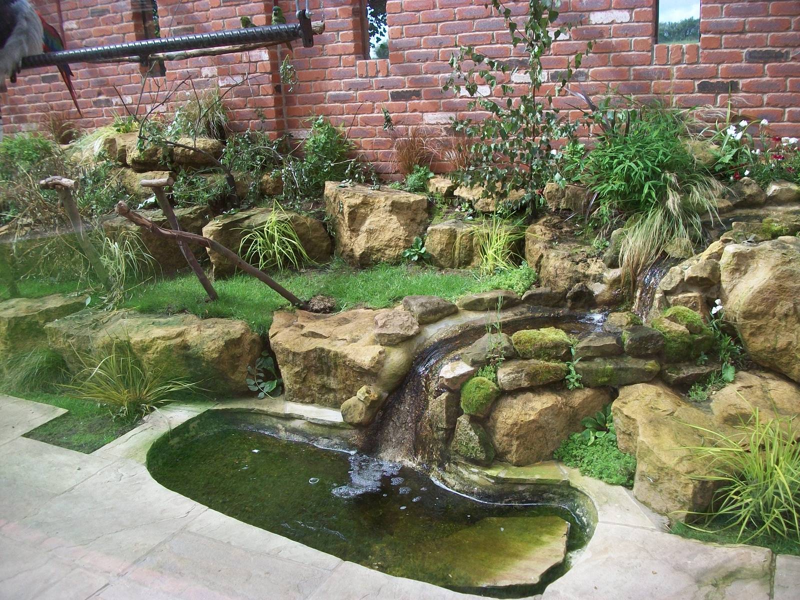 Parrot aviary, 3rd August 2012