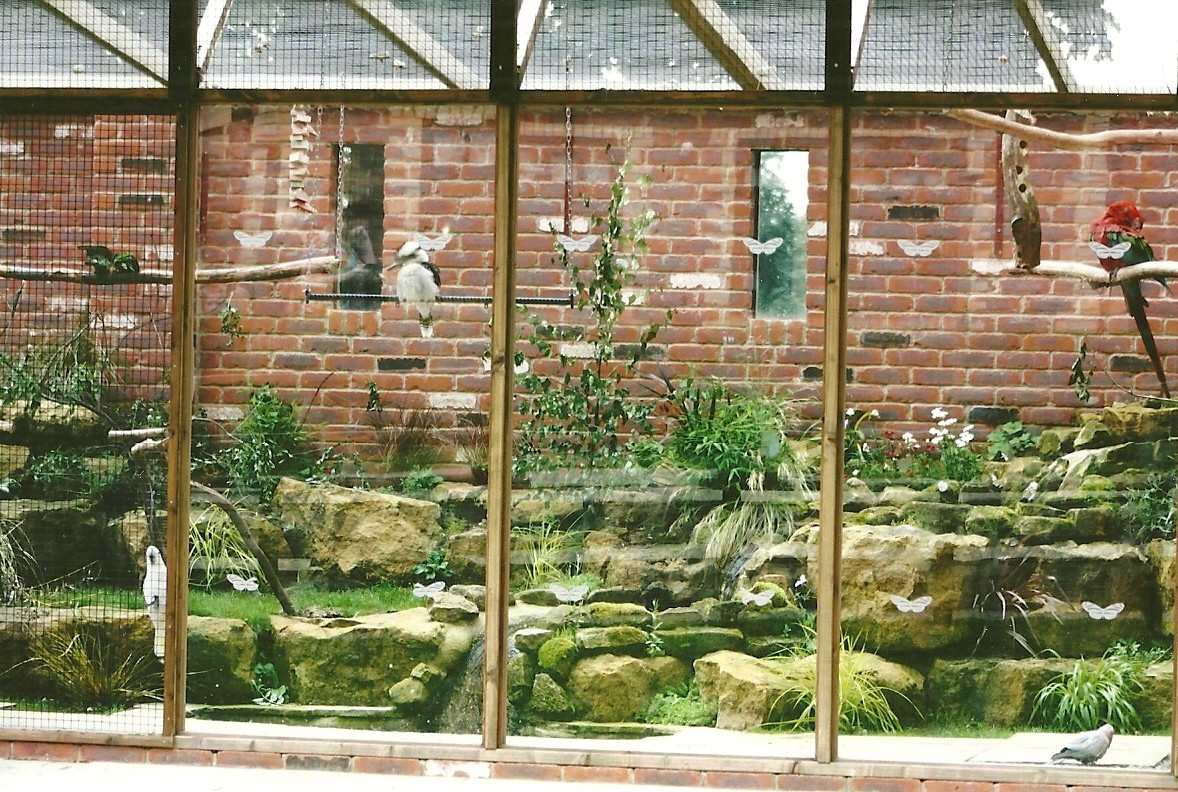 Parrot aviary, 3rd August 2012