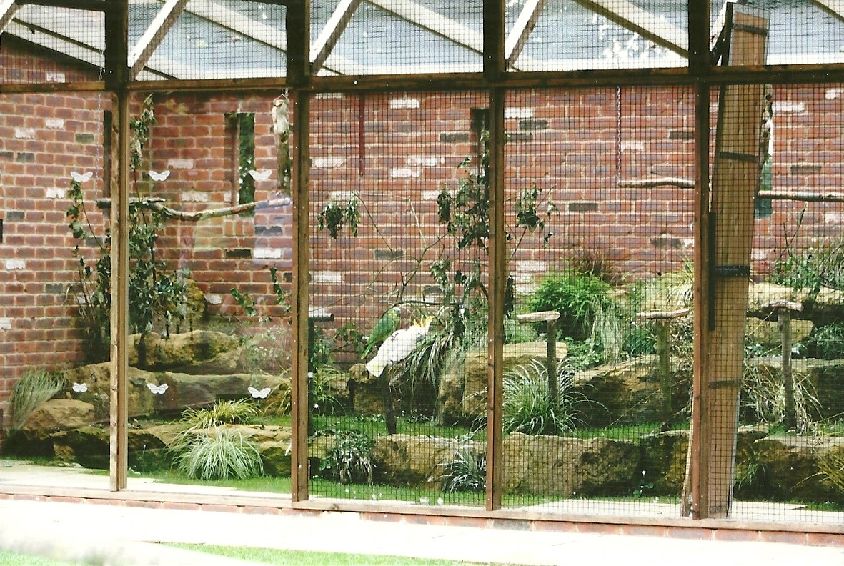 Parrot aviary 3rd August 2012