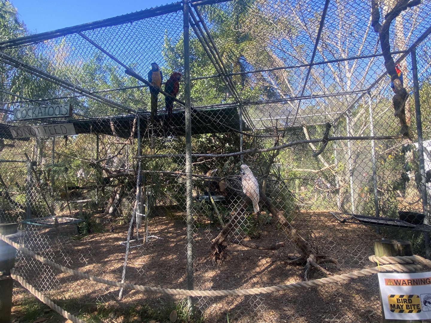 Parrot Aviary (8 Species)