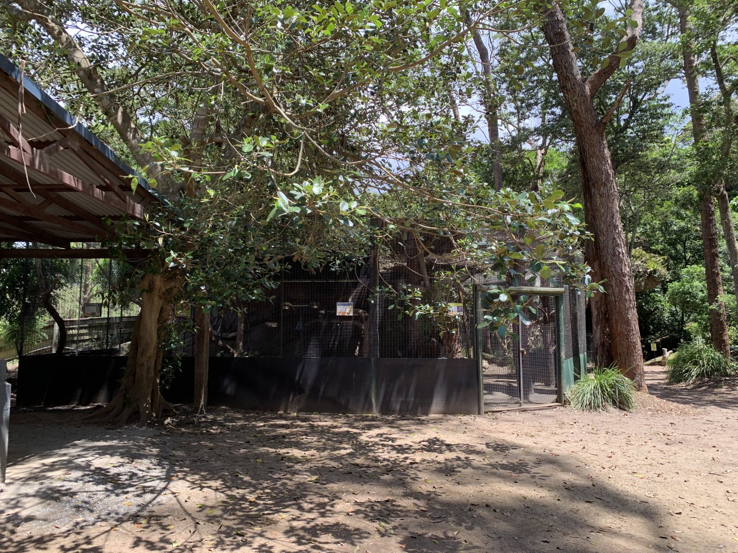 Parrot Aviary and Koala Enclosure