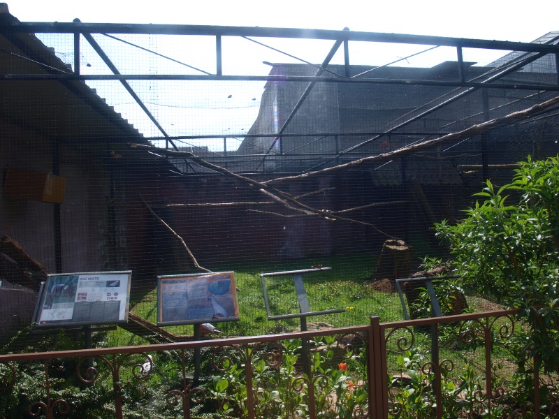 Parrot aviary (April 19th, 2015)