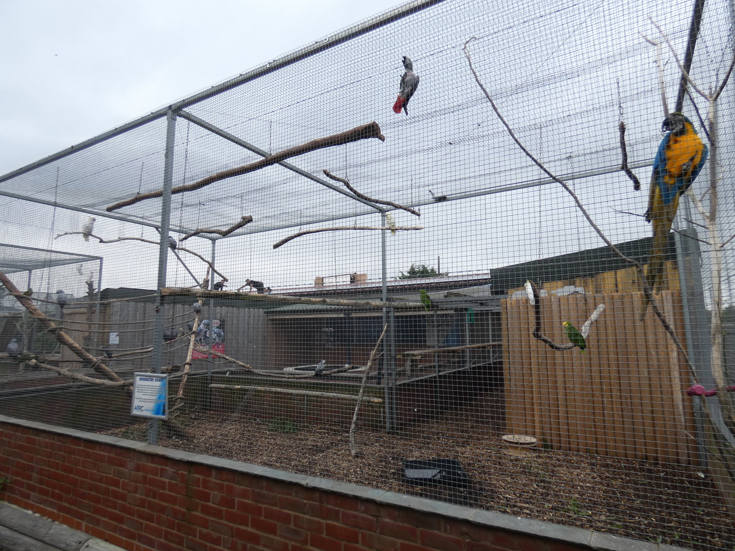 Parrot aviary attached to the Animal Rehabilitation and Reception Centre