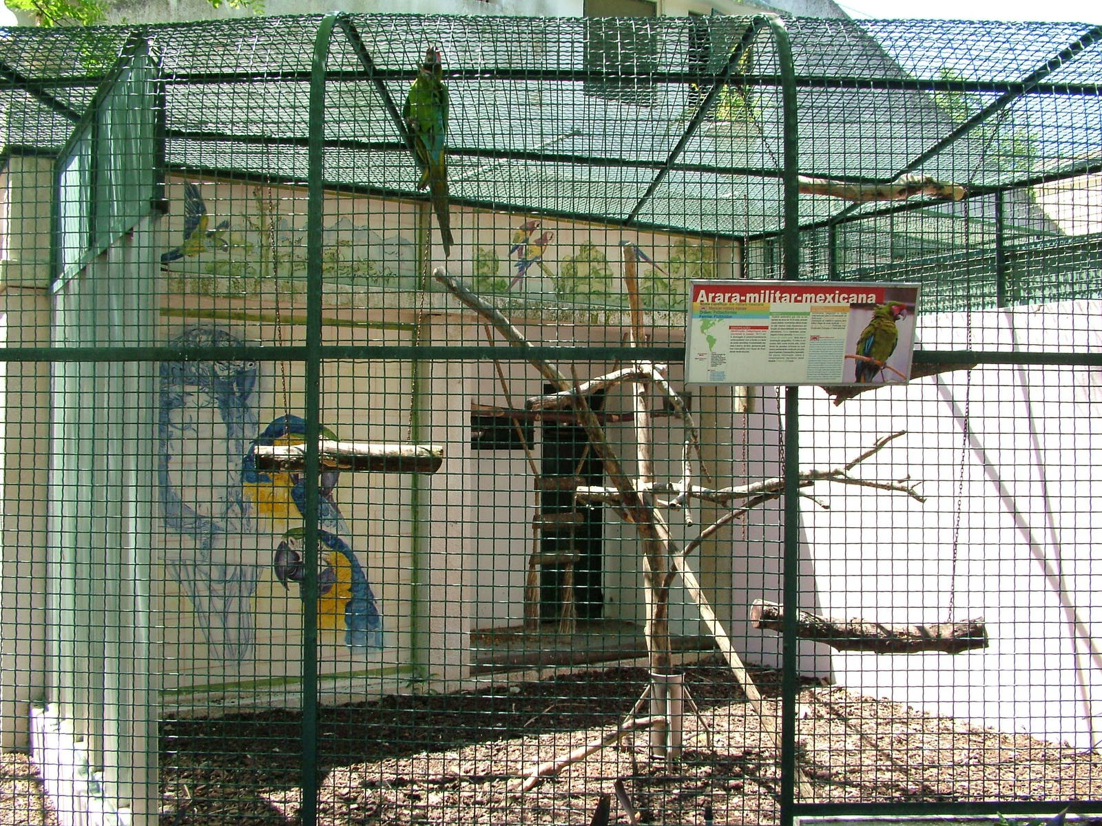 Parrot Aviary Example at Lisbon Zoo, 24/05/11