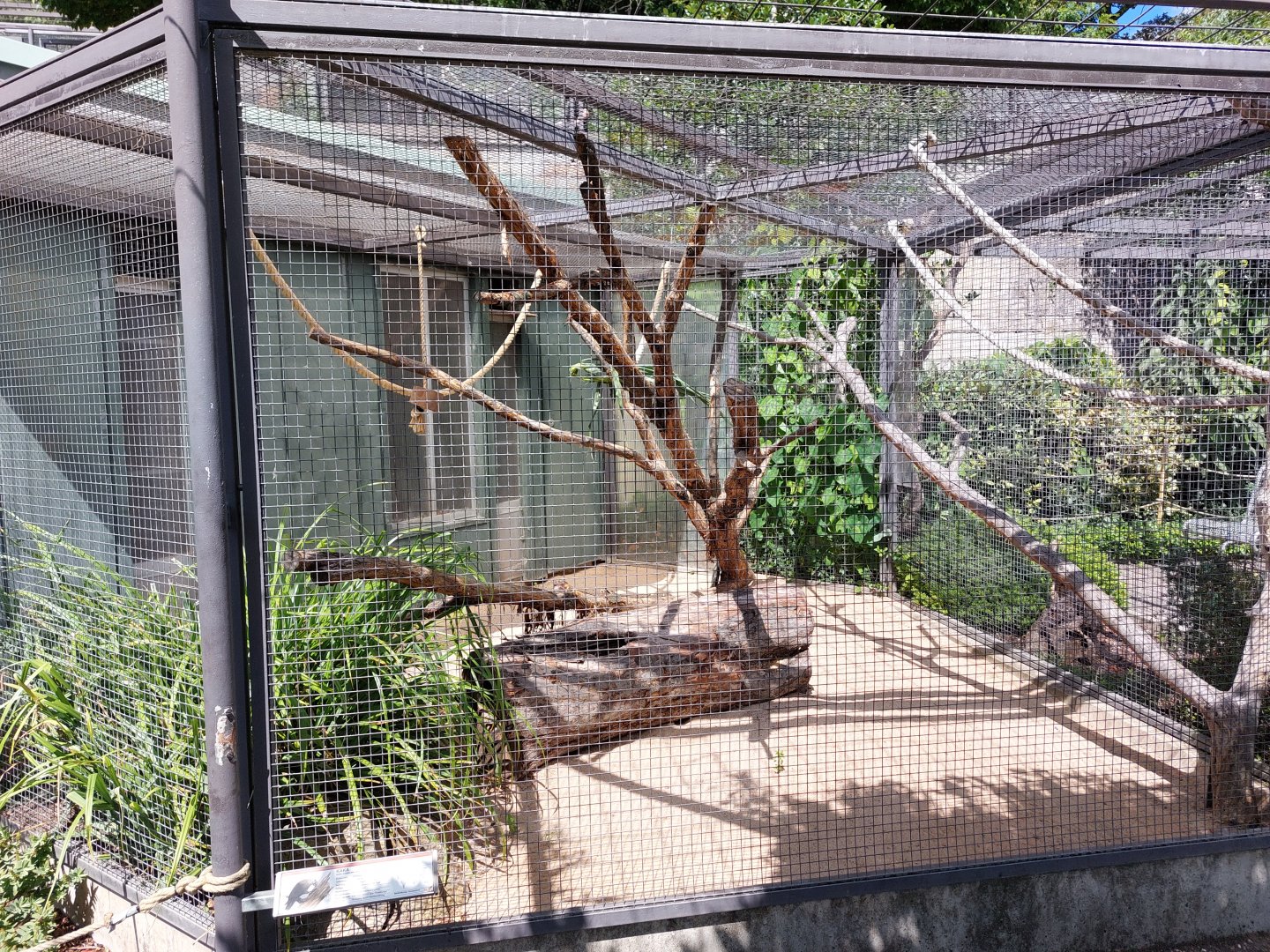 Parrot aviary examplr