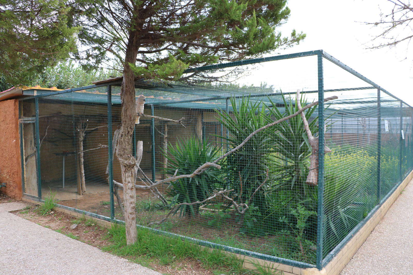 Parrot aviary, February 2016