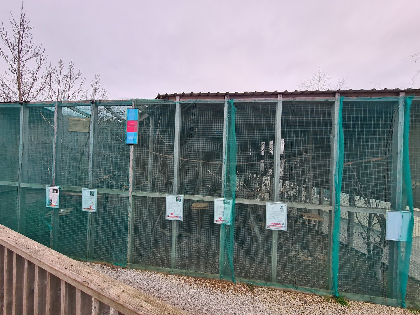 Parrot Aviary, Fenn Bell