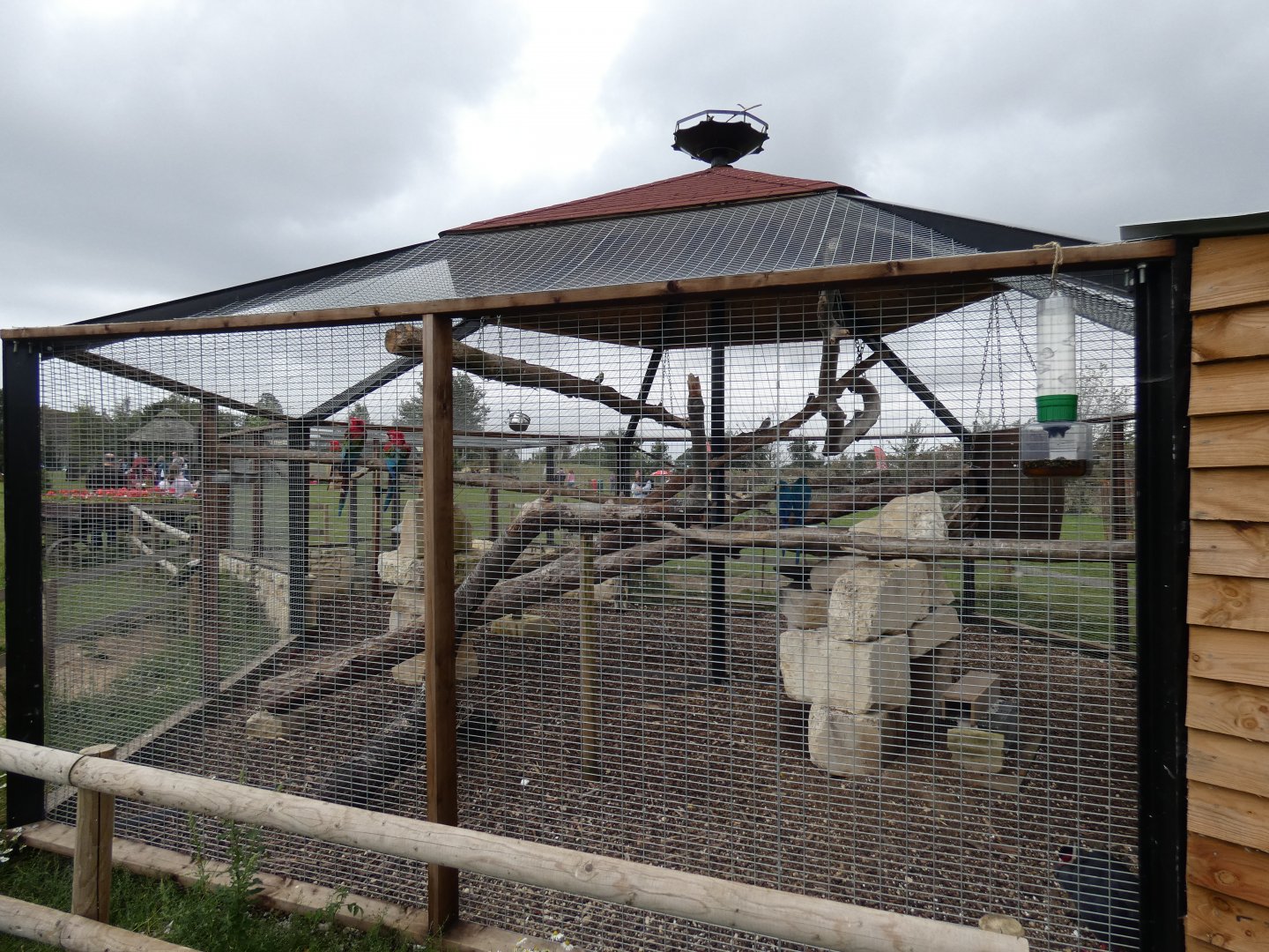 Parrot aviary (Johnson's of Old Hurst)